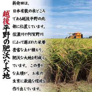 令和8年産 つきあかり 10kg ご飯 備蓄 コメ お米 米 こめ しんまい 新潟産 新潟米 新潟県 新潟 新発田 新発田市 国産 新発田市産 斗伸 toushin065_02