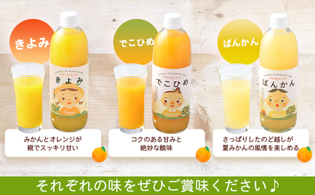 ＜マルワフルーツ柑橘アソート 100％ストレート果汁ジュース 500ml×10本＞ 詰め合わせ セット スイーツ 果物 フルーツ みかん オレンジ 柑橘 清見 でこひめ 河内晩柑 伊予柑 せとか 特産品 愛媛県 西予市【常温】『1か月以内に順次出荷予定』UUB0076