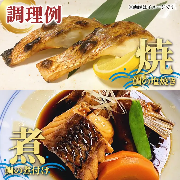 養殖真鯛切身(約1kg) 鹿児島県 阿久根市 たい タイ 真鯛 魚貝 魚介 海産物 切身 切り身 煮物 煮つけ 焼き魚 おかず おつまみ 小分け 【さるがく水産】akn028-46