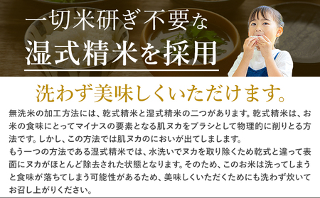 【12ヶ月定期便】無洗米 こしひかり 20kg《お申込み翌月から出荷》