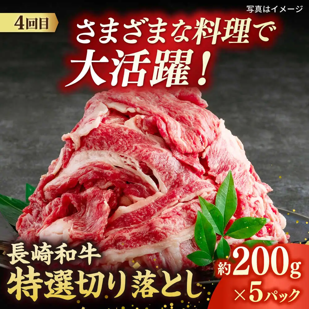 【6回定期便】長崎和牛2名[ECS074]長崎和牛 牛肉 国産