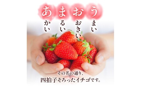 いちご あまおう 福岡県産 いちご【500g 2パック】【先行予約】