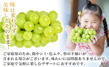 ＜シャインマスカット 家庭用 約2kg＞ 果物 くだもの フルーツ ぶどう 葡萄 ブドウ シャインマスカット しゃいんますかっと 3～5房 2キロ ご家庭用 種なし 甘い 皮ごと 特産品 宇都宮物産 愛媛県 西予市【冷蔵】『2026年9月中旬～10月上旬迄に順次出荷予定』UUB0079