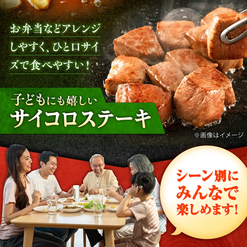 12回定期便 佐賀牛 ヒレステーキセット ステーキ180g×3 サイコロステーキ400g[FCH028]
