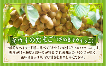 とれたて果物 2回定期便E |果物 フルーツ 果物定期便 フルーツ定期便 定期便 いちご キウイ濃厚 旬の果物 定期 人気 おすすめ 贈答 贈り物 青果物 糖度 香川県 |_mk165-t055