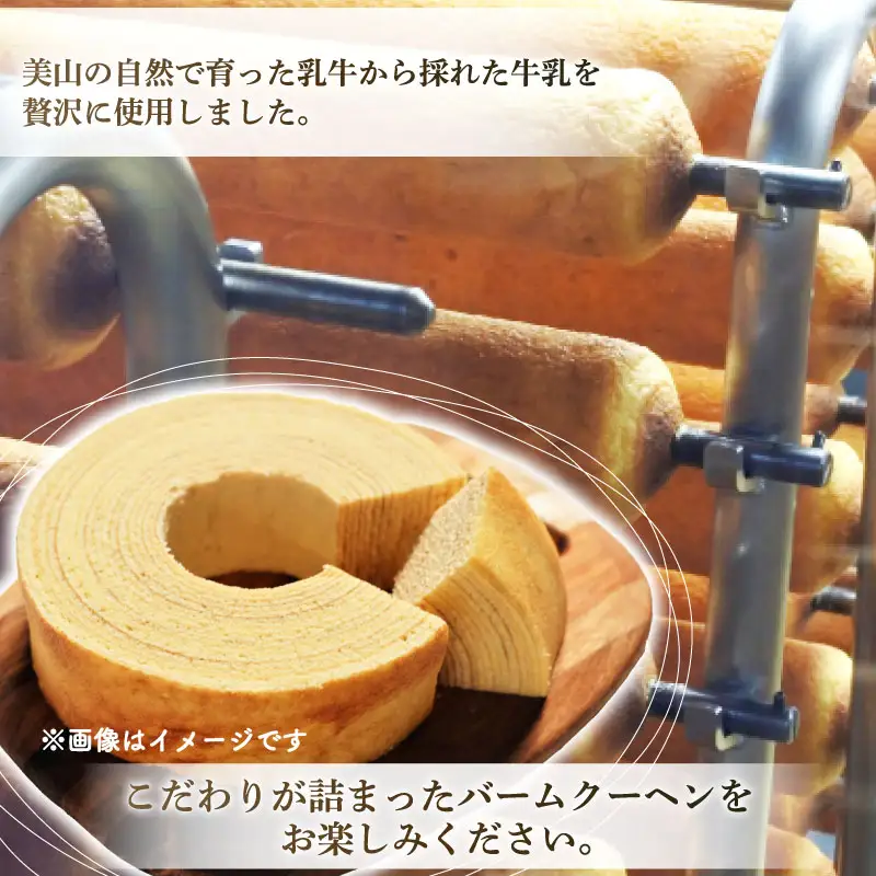 バウムクーヘン 南丹市「美山牛乳」100%使用【南丹市×綾部市共同開発】ホール1個 / バームクーヘン 牛乳 ギフト 綾部市 / ワークショップサクラティエ［BSBO007］