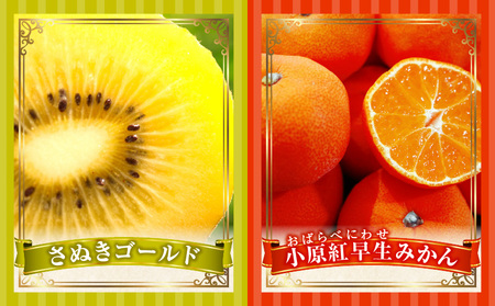 とれたて果物 3回定期便C |果物 フルーツ 果物定期便 フルーツ定期便 定期便 いちご キウイみかん 濃厚 旬の果物 定期 人気 おすすめ 贈答 贈り物 青果物 糖度 香川県 |_mk165-t067