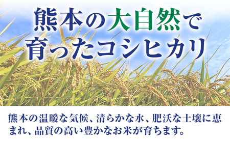 米 白米 コシヒカリ 令和8年産 5kg 森田農園《8月末から順次出荷》 