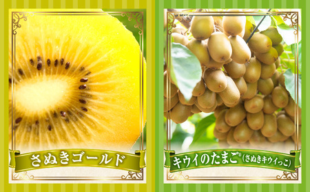 とれたて果物 3回定期便D |果物 フルーツ 果物定期便 フルーツ定期便 定期便 いちご キウイ濃厚 旬の果物 定期 人気 おすすめ 贈答 贈り物 青果物 糖度 香川県 |_mk165-t068