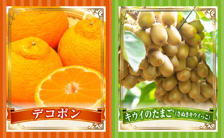 とれたて果物 4回定期便C |果物 フルーツ 果物定期便 フルーツ定期便 定期便 いちご キウイ デコポン濃厚 旬の果物 定期 人気 おすすめ 贈答 贈り物 青果物 糖度 香川県 |_mk165-t076
