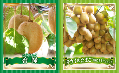 とれたて果物 4回定期便E |果物 フルーツ 果物定期便 フルーツ定期便 定期便 キウイ デコポン濃厚 旬の果物 定期 人気 おすすめ 贈答 贈り物 青果物 糖度 香川県 |_mk165-t078