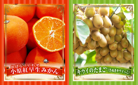 とれたて果物 4回定期便F |果物 フルーツ 果物定期便 フルーツ定期便 定期便キウイ デコポンみかん 濃厚 旬の果物 定期 人気 おすすめ 贈答 贈り物 青果物 糖度 香川県 |_mk165-t079