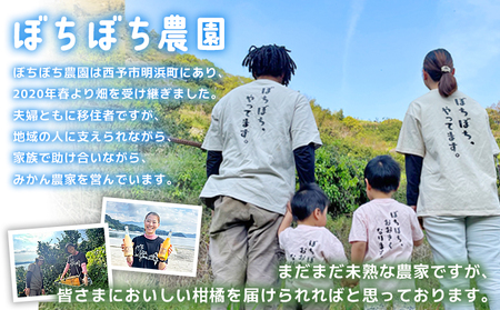 ＜ぼちぼち農園のぽんかん 家庭用 約5kg＞ 5キロ ぽんかん ポンカン 訳あり わけあり ワケアリ 果物 みかん ミカン 柑橘 フルーツ 生産量日本一 国産 特産品 ぼちぼち農園 愛媛県 西予市【常温】『2027年1月～2月迄に順次出荷予定』ABB0006