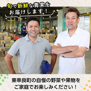 【0363607b】＜定期便・全3回＞自慢の農家×老舗青果店のフルーツ定期便(計5個) メロン アールスメロン スイカ すいか 小玉スイカ 肥後グリーン 果物 フルーツ 果実 セット 【有留青果】