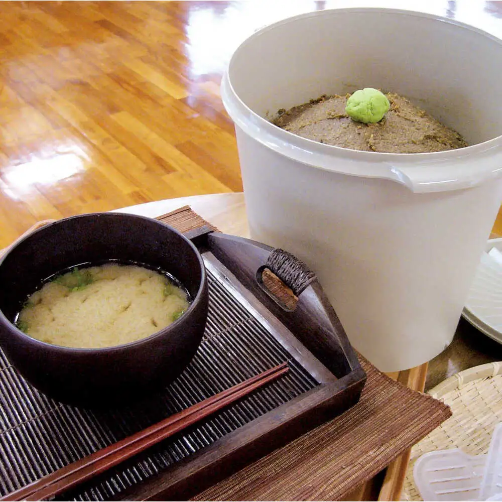 薬膳みそ 【全12回定期便】沖縄薬膳紅みそ 計600g (300g×2個)  BCBU016 味噌