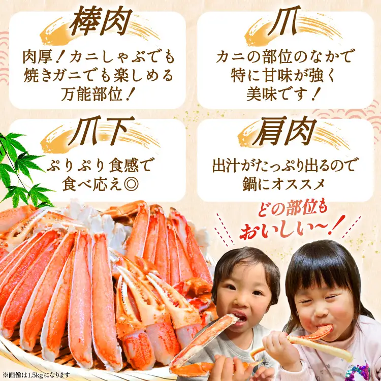 ずわいがに むき身セット 総重量750g かに 蟹 カニ  ◎