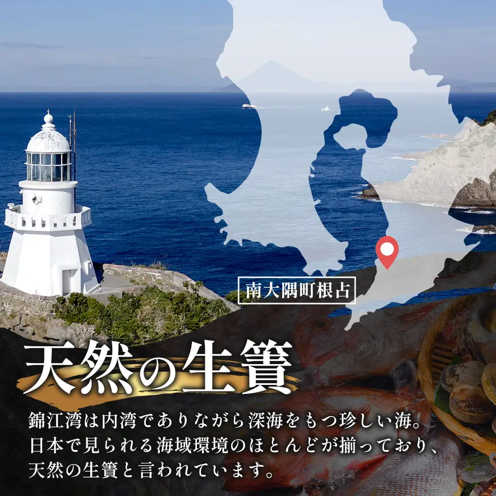 鹿児島県産 アジ 干物 大サイズ×2枚 ≪合計2枚≫［1枚 約22～25センチ］PT-1 | 開き 大隅干し 冷凍 国産 鯵 ひもの 海鮮 新鮮 瞬間冷凍 産地直送 鹿児島県 南大隅町 ピットスリー