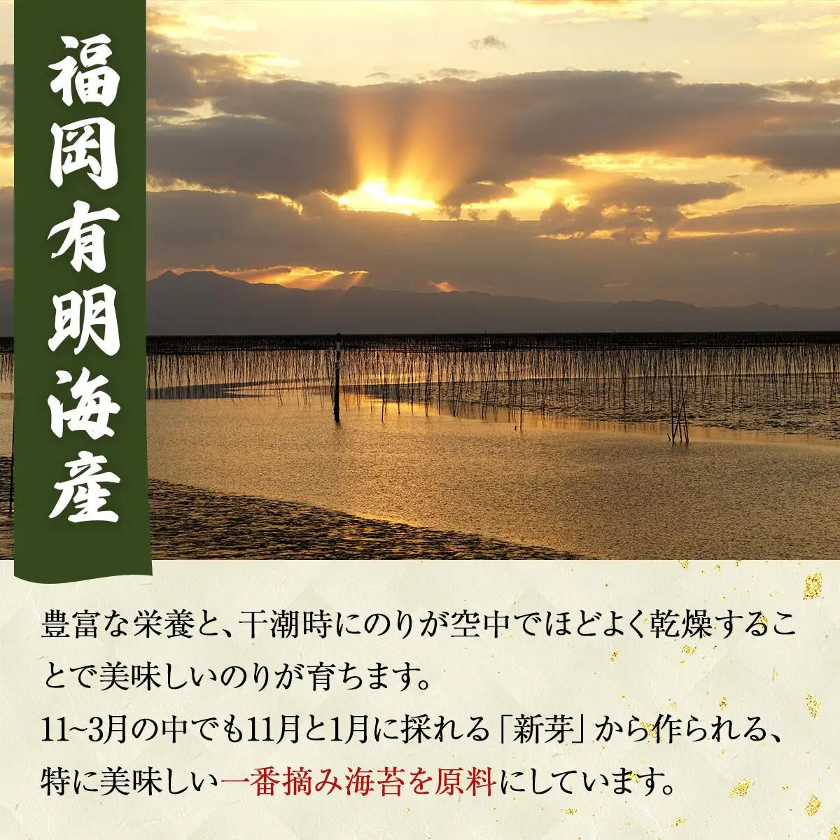 【有明海産一番摘み限定】福岡有明のり(味のり)計420枚（10切70枚×6本）SM016