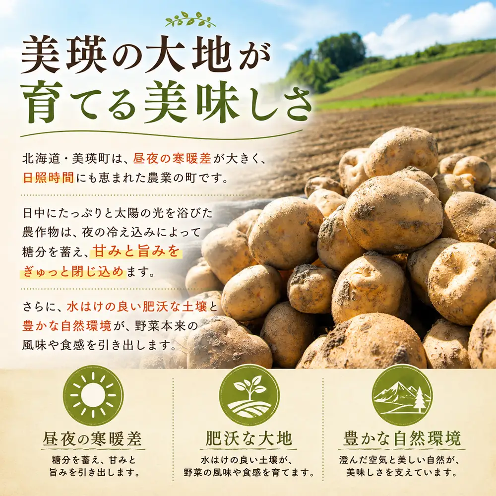 じゃがいも 【令和8年産予約受付】北海道 北あかり5kg じゃがいも [006-29]