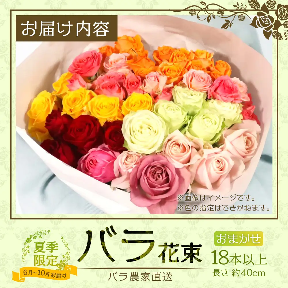 【日付指定必須・ギフト対応可】 夏季限定 ばら農家直送！バラ花束18本以上お届け(色はおまかせ) TB-4│ローズ 新鮮 花 フラワー 花束 ばら 薔薇 バラ 誕生日 記念日 結婚祝い ギフト プレゼント お祝い 贈り物 贈答 鹿児島県 南大隅町 富田バラ園