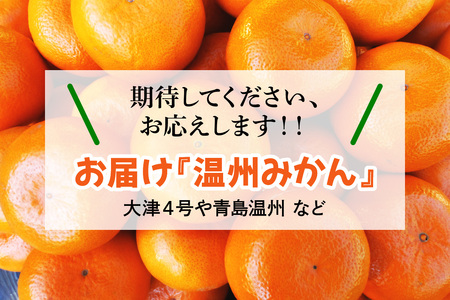 [2026年12月下旬頃から発送] 温州みかん 5kg [1292]