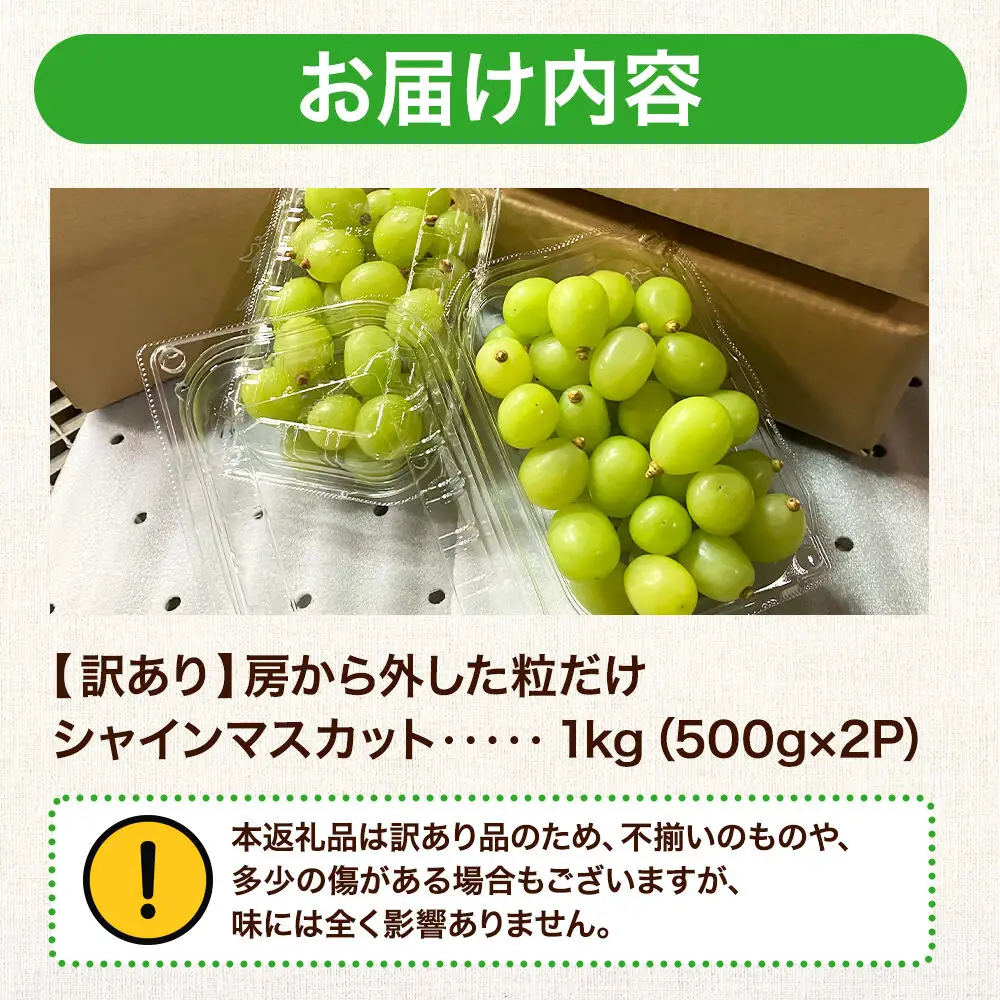 【26年9月～発送】【訳あり】 房から外した粒だけシャインマスカット1kg（500g×2パック） ぶどう フルーツ 果物 ブドウ 葡萄 グレープ くだもの 産地直送