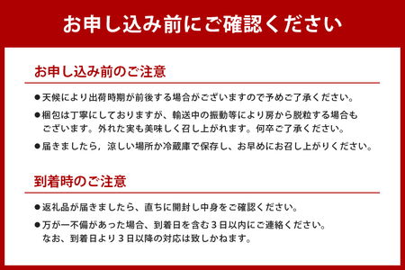 旬のぶどうお任せパック(種あり) 500g A14-016