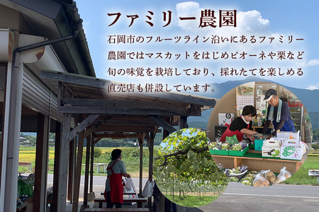 【2025年 先行予約】シャインマスカット大房 2房 大粒 皮ごと食べられる 葡萄 ぶどう 果物 グレープ 贈答用 家庭用 フルーツギフト スイーツ用 お取り寄せ 予約限定 産地直送 冷蔵 茨城県 石岡市(A38-001)