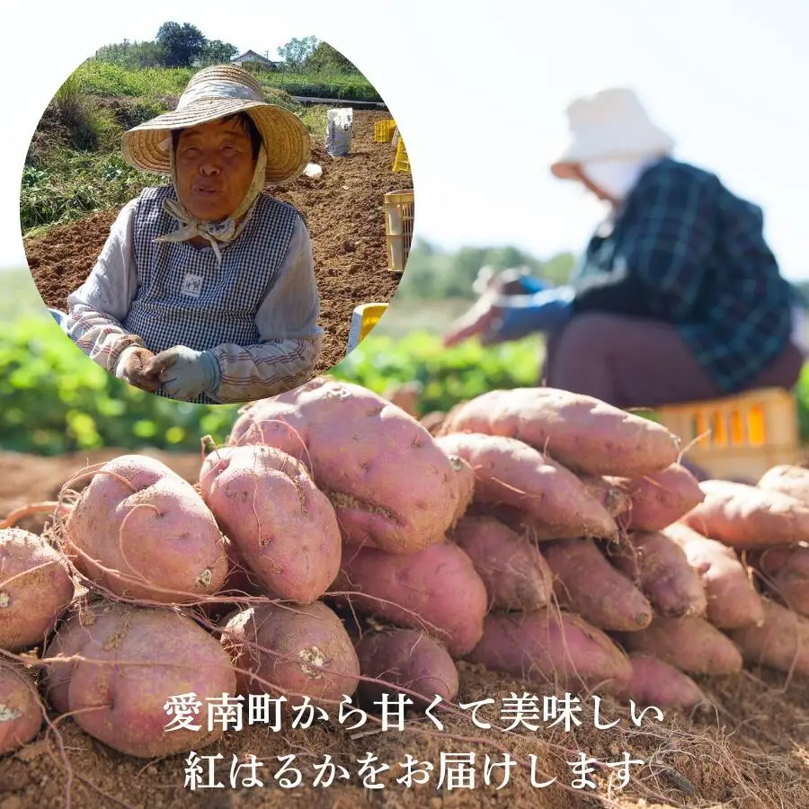 訳あり 熟成 紅はるか 10kg サイズミックス さつまいも 愛なんよ