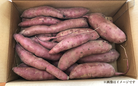 熟成 紅はるか 5kg M～2L さつまいも 愛なんよ