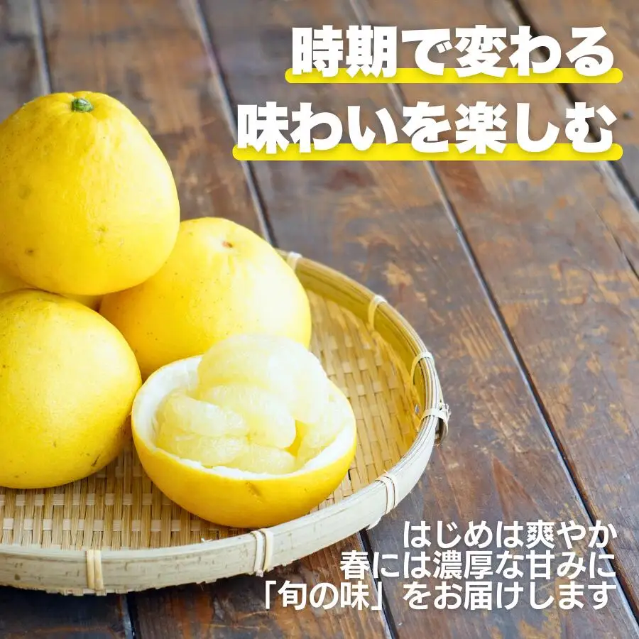 【先行予約】　土佐 文旦 7kg 訳あり 文旦 愛なんよ