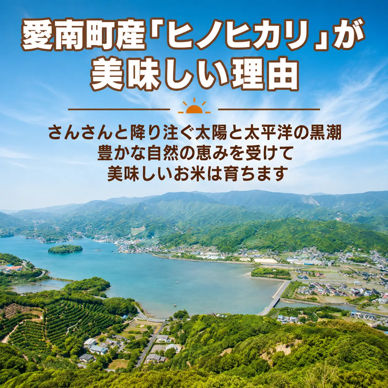 【 ヒノヒカリ 】 ヒノヒカリ 5kg 愛なんよ 愛媛県 愛南町