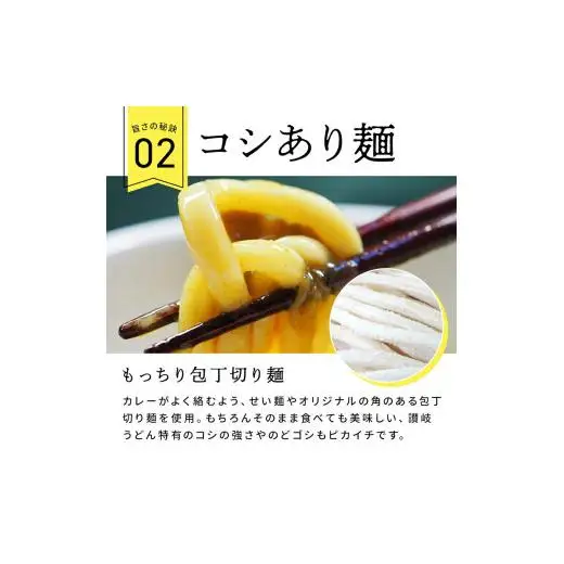 讃岐カレーうどんセット（24人前）_Z2600131