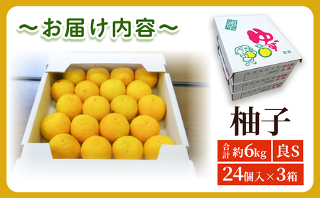 ＜柚子 良 Sサイズ (24個入り) × 3箱＞ 約6kg ゆず ユズ 国産 柑橘 かんきつ 低樹高栽培 おいしい 産地直送 黄柚子 薬味 柚子胡椒 国産柚子 フルーツ JAひがしうわ 東宇和農業協同組合 愛媛県 西予市【常温】『2025年10月下旬～12月上旬迄に順次出荷予定』UHU0006