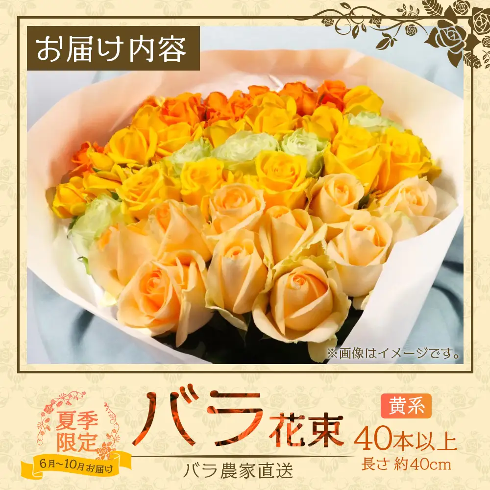 【日付指定必須・ギフト対応可】 夏季限定 ばら農家直送！バラ花束40本以上お届け(黄系) TB-7│ローズ 新鮮 花 フラワー 花束 ばら 薔薇 バラ 誕生日 記念日 結婚祝い ギフト プレゼント お祝い 贈り物 贈答 鹿児島県 南大隅町 富田バラ園