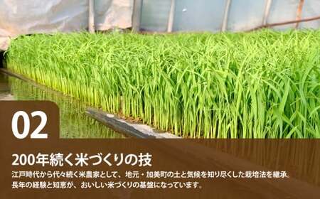 【新米予約】ひとめぼれ 無洗米 10kg ｜ ひとめぼれ