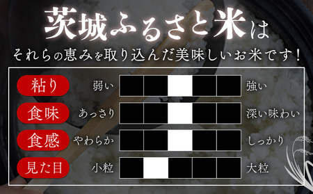 無洗米20kg《7-14日以内に出荷予定(土日祝除く)》おこめ
