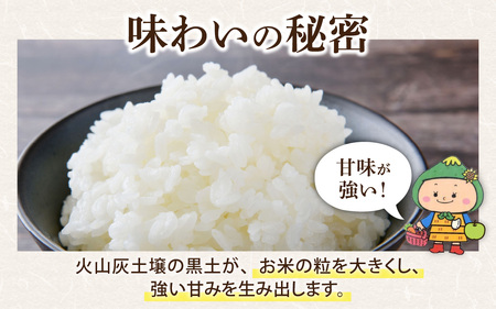 【令和7年産 新米】【福井県大野市】さかだに棚田清流米！(コシヒカリ)5kg「今話題の、あのバンドのロケ地！」