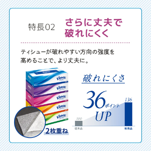 【 6ヶ月ごと計 2回お届け 】ティッシュ クリネックス 5箱入 × 2パック トイレットペーパー ダブル スコッティ 3倍長持ち 4ロール入 × 2パック フラワーパック 香り付き