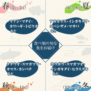 旬の朝獲れ鮮魚詰め合わせ 2026年12月配送※着日指定不可【以布利定置網　漁師直送】朝獲れ 旬 鮮魚 魚介 海鮮 魚 さかな せんぎょ 鮮魚セット 詰め合わせ おまかせ お任せ【S00818-12】