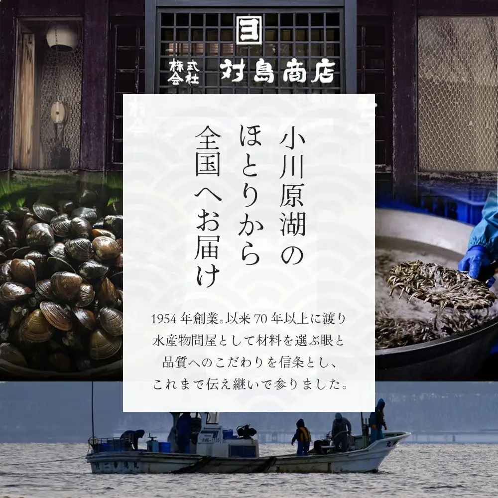 対島商店おすすめセット（わかさぎ筏焼き3串・わかさぎ佃煮40g・わかさぎ田作り風30g・わかさぎカラット30g・ほたて時雨煮40g・しらうお佃煮40g・しじみ（調理済）150g・しじみ（調理済）150g（大））　【02408-0163】