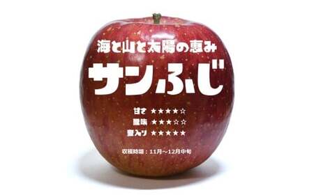 先行予約 ★りんごの王様★ サンふじ入り食べ比べBOX ( 家庭用 小玉) 8個入り りんご
