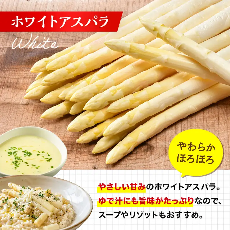 【先行予約】令和9年産 ホワイトアスパラガス（2Lサイズ） 1kg アスパラ 野菜 やさい ふるさと 納税 国産 北海道産 北海道 下川町 F4G-0353