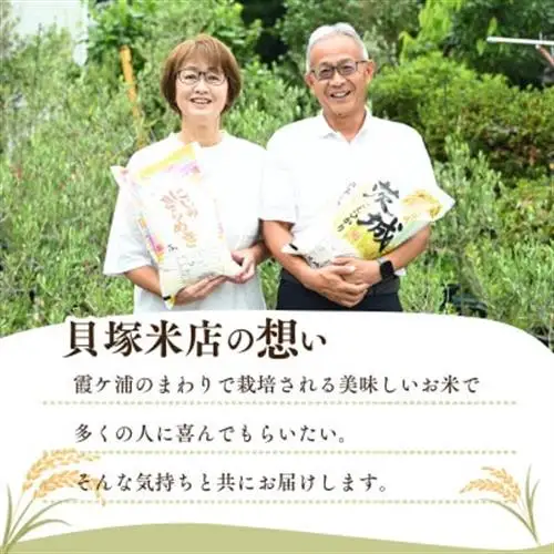 令和8年産 新米 田伏米のコシヒカリ 10kg(5kg×2) | こしひかり お米 かすみがうら市産【1662549】