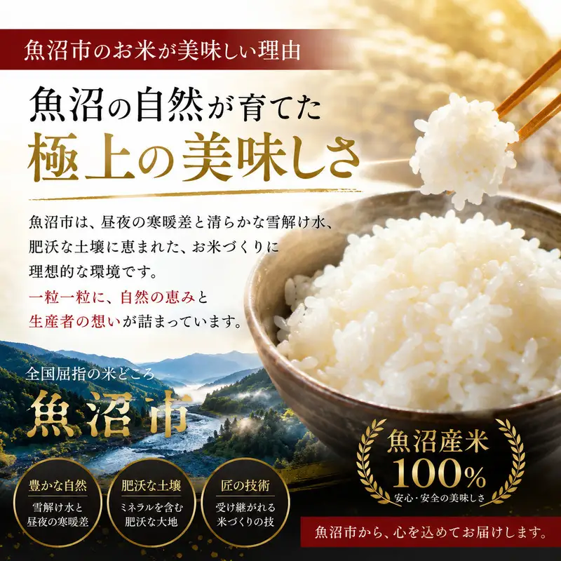 【定期便：精米10kg×3ヶ月】ブランド米    魚沼産コシヒカリ 米 こしひかり 新潟 定期