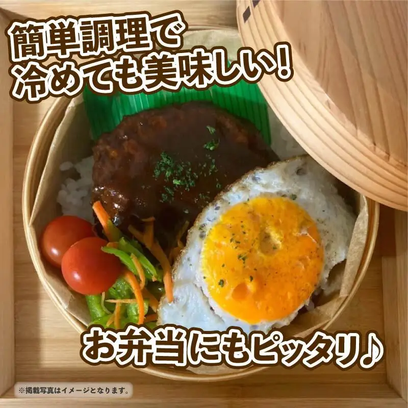 ハンバーグ デミグラスソースハンバーグ 10個 10-237 ハンバーグ