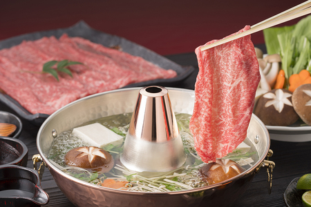 【ふるなびWEEK対象】近江牛 すき焼き しゃぶしゃぶ  霜降り 赤身 ミックス 500g 寛閑観 【FR04W-FN】