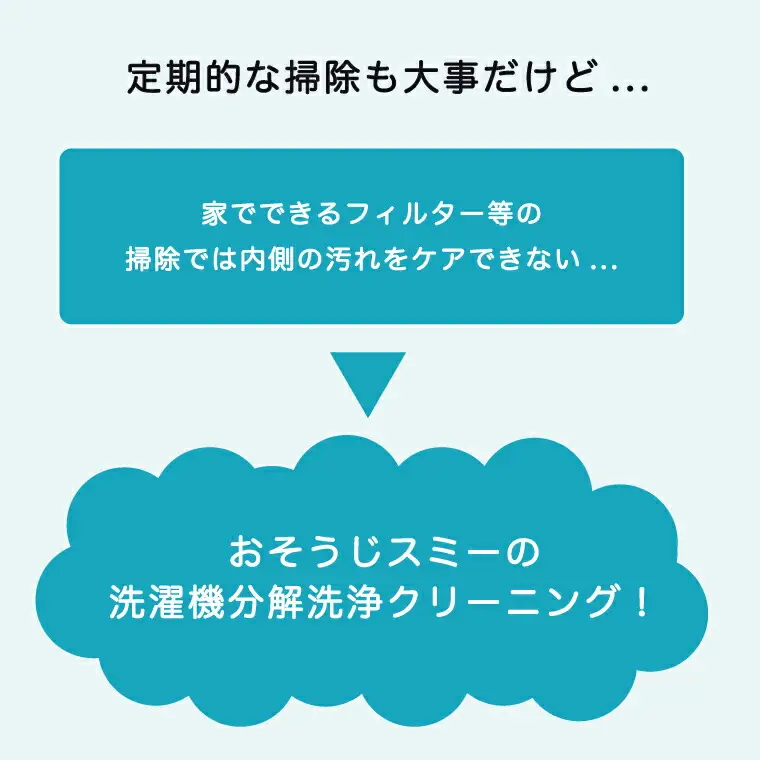 洗濯機クリーニング 縦型分解 日立ビートウォッシュ 洗濯機クリーニング【柏市限定】