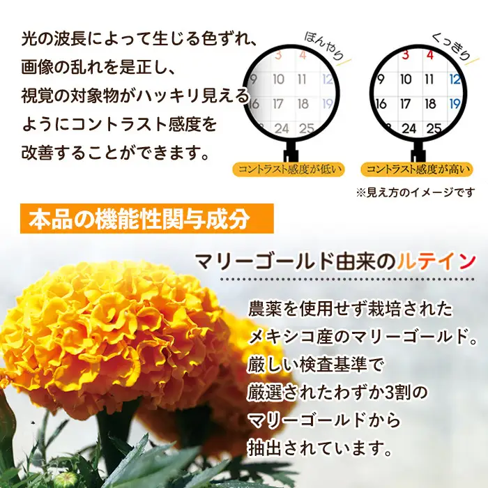 No.1283 ＜機能性表示食品＞ルテイン(1袋 62粒入り・2袋×6回)  鹿児島 日置市 健康食品 加工食品 サプリ サプリメント 栄養バランス 食生活 安心安全 目 ブルーライト 保護 頒布会 配送回数  【てまひま堂】