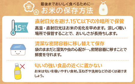 令和7年産 こだわりのコシヒカリ 10kg | コシヒカリ 精米 栃木県 茂木町